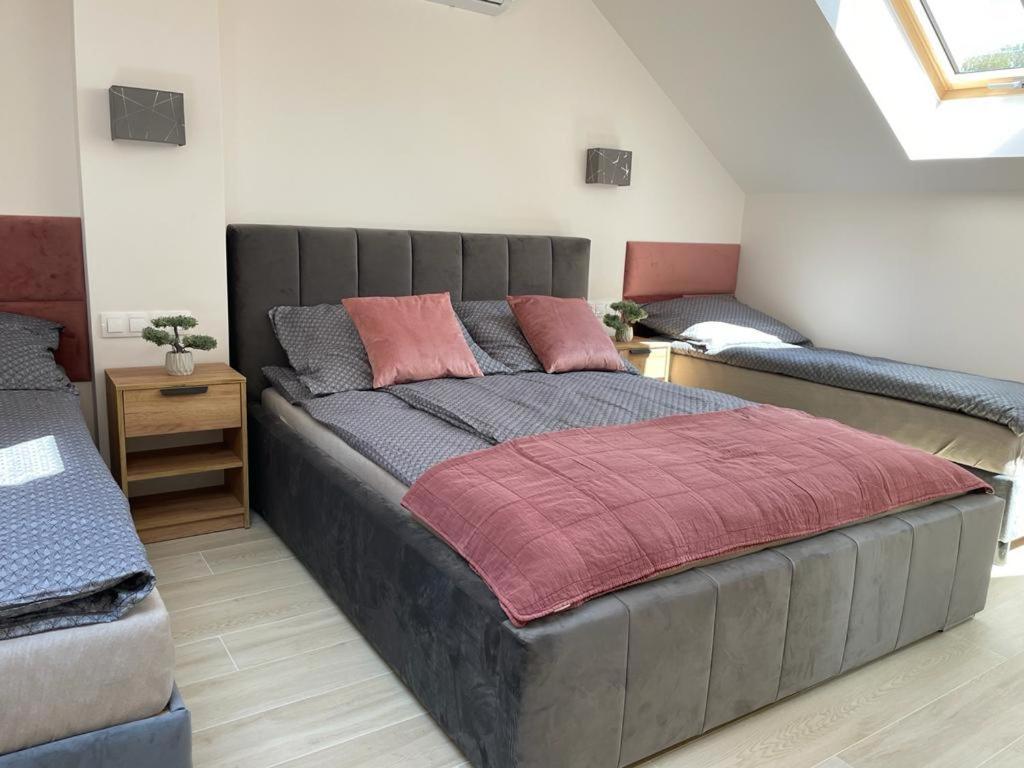 Apartamenty Przy Parku -150M Od Plazy 达洛科 外观 照片